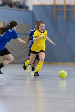 Bild 809 - wBJ NFV Futsalmeisterschaft
